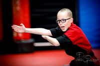 Midwest Professional Karate (MPK) 2018