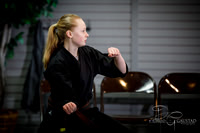 Midwest Professional Karate (MPK) 2018