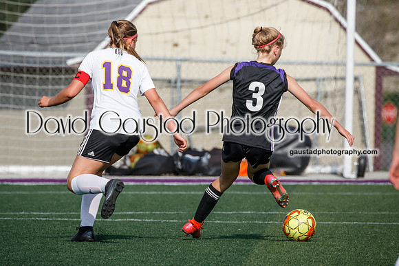 DeForest Girl's Soccer vs Waunakee