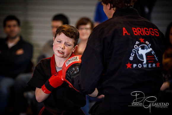 Midwest Professional Karate (MPK) 2018