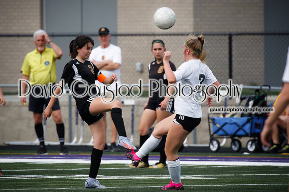 DeForest Area High School Girl's Soccer vs Sauk Prairie