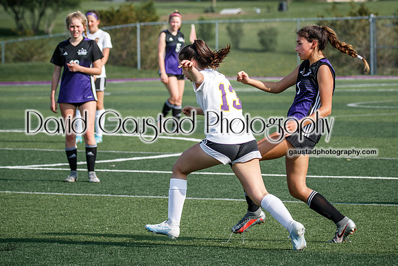 DeForest Girl's Soccer vs Waunakee