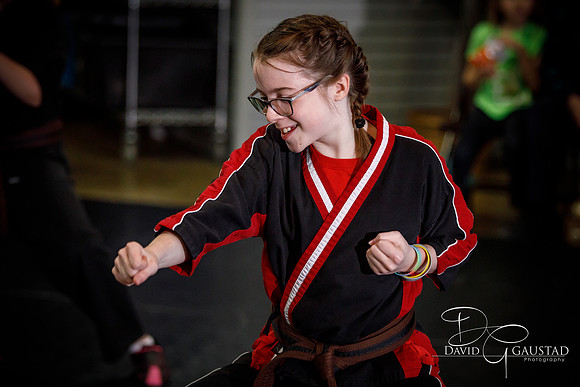 Midwest Professional Karate (MPK) 2018