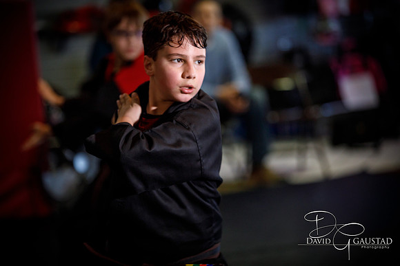 Midwest Professional Karate (MPK) 2018