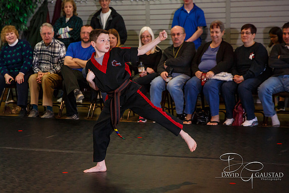 Midwest Professional Karate (MPK) 2018