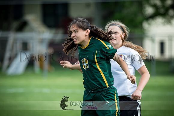 4K2A9675 DeForest vs Beaver Dam girl's soccer 2016