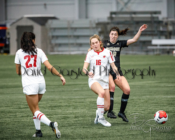 Wisconsin Badgers Women's Soccer vs Purdue