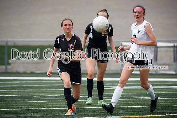 DeForest Area High School Girl's Soccer vs Sauk Prairie
