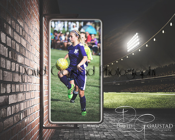 Stadium Banner Photo Example