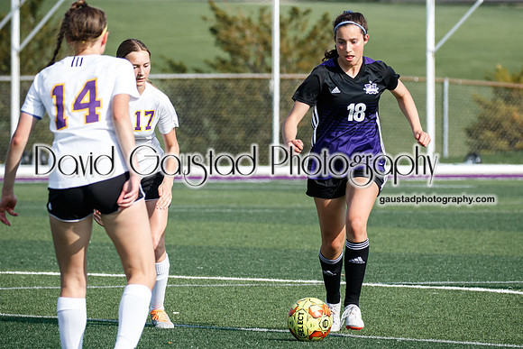 DeForest Girl's Soccer vs Waunakee
