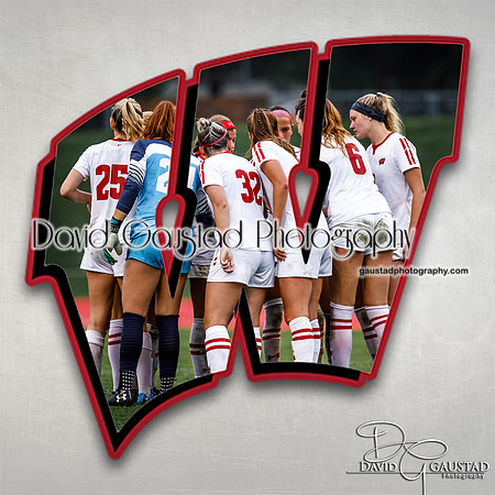 wisconsin_badgers