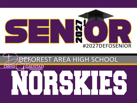 #17 Senior Lawn Sign Lower Mascot 2027 Non-custom Sign - $30