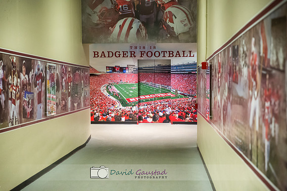 Badger Football