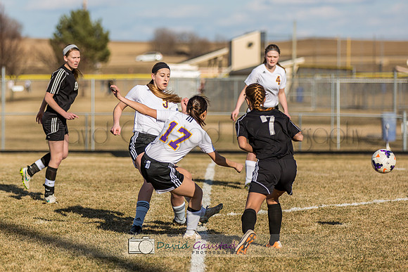 Picture from the DeForest Girls Soccer Spring 2015 season