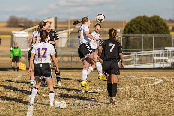 DeForest Girls Soccer Spring 2015 season