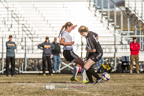Picture from the DeForest Girls Soccer Spring 2015 season