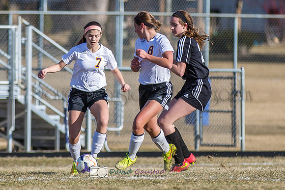DeForest Girls Soccer Spring 2015 season