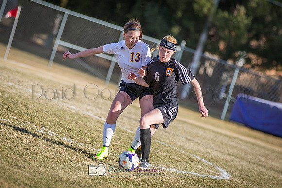 Picture from the DeForest Girls Soccer Spring 2015 season