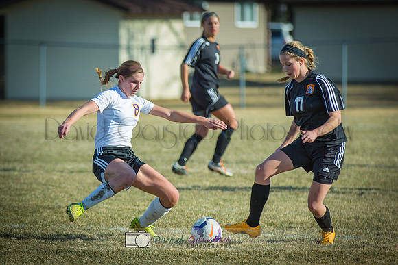 Picture from the DeForest Girls Soccer Spring 2015 season