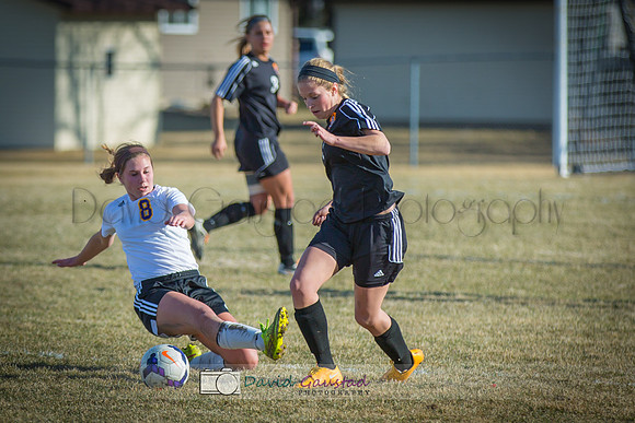 Picture from the DeForest Girls Soccer Spring 2015 season