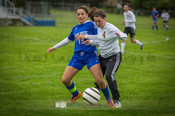 Pictures of girls DeForest JV soccer at DMB Community Bank Stadium DeForest