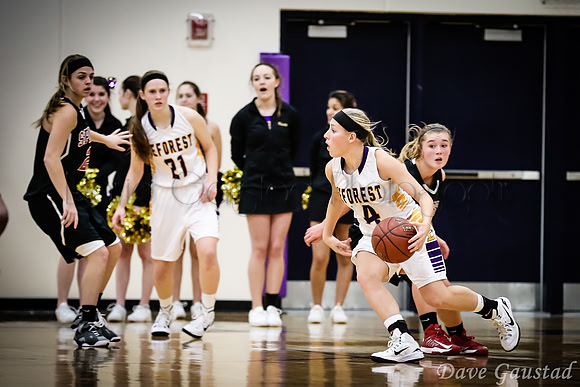 DeForest Basketball 2014 Aly Otteson