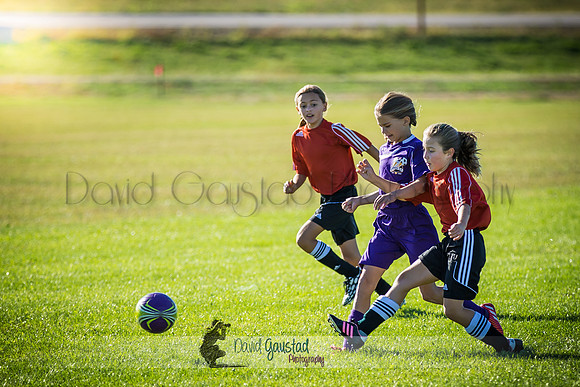 Photos from the DeForest Norski and Sauk Prairie Tornadoes U13 girls soccer game on September 19 2015 at Linde field DeForest