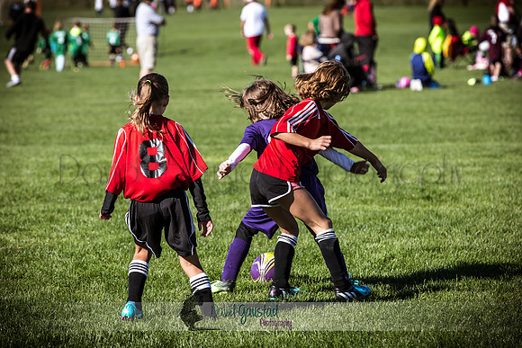 Photos from the DeForest Norski and Sauk Prairie Tornadoes U13 girls soccer game on September 19 2015 at Linde field DeForest