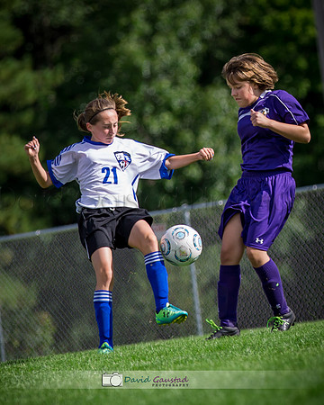 Picture from the DeForest and Windsor Norski youth soccer program