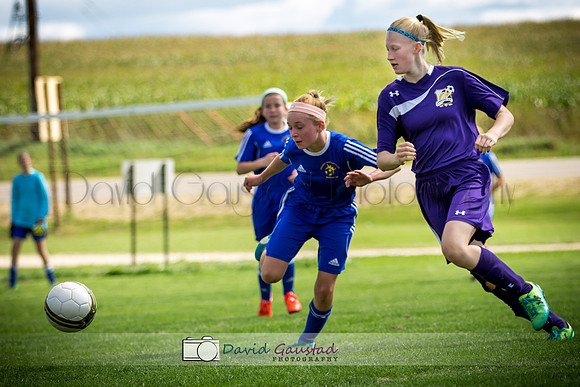 Picture from the DeForest and Windsor Norski youth soccer program