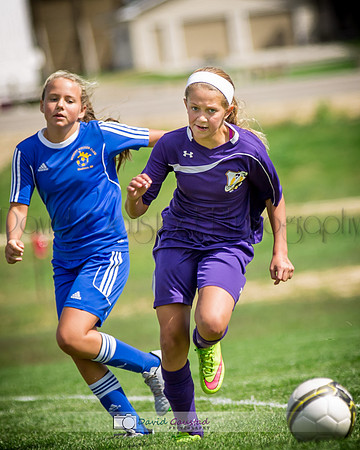Picture from the DeForest and Windsor Norski youth soccer program