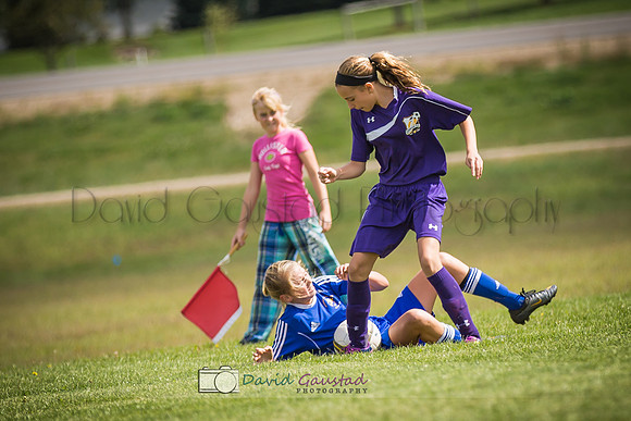 Picture from the DeForest and Windsor Norski youth soccer program