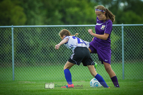 Picture from the DeForest and Windsor Norski youth soccer program