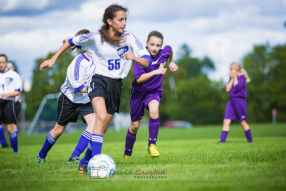 Picture from the DeForest and Windsor Norski youth soccer program