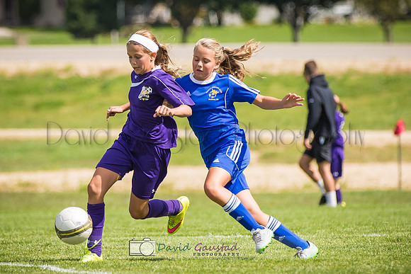 Picture from the DeForest and Windsor Norski youth soccer program