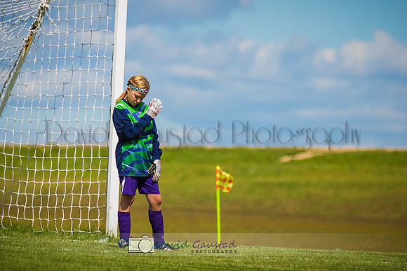 Picture from the DeForest and Windsor Norski youth soccer program