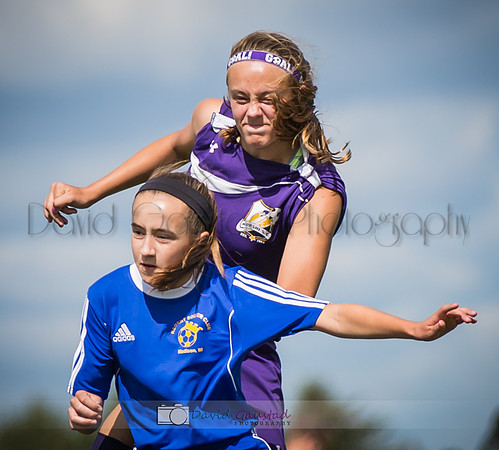 Picture from the DeForest and Windsor Norski youth soccer program