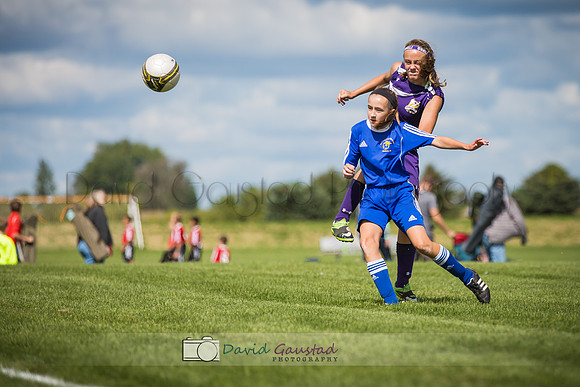 Picture from the DeForest and Windsor Norski youth soccer program