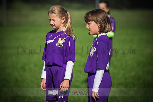 Picture from the DeForest and Windsor Norski youth soccer program