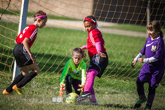 Picture from the DeForest and Windsor Norski youth soccer program