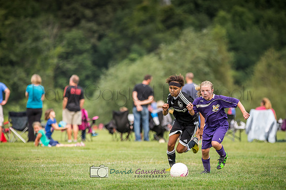 Picture from the DeForest and Windsor Norski youth soccer program