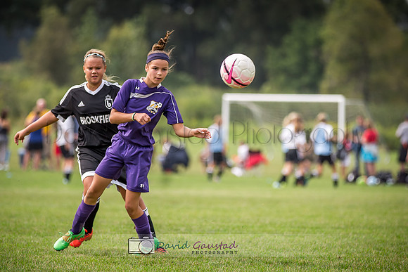 Picture from the DeForest and Windsor Norski youth soccer program