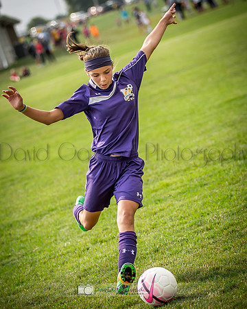 Picture from the DeForest and Windsor Norski youth soccer program