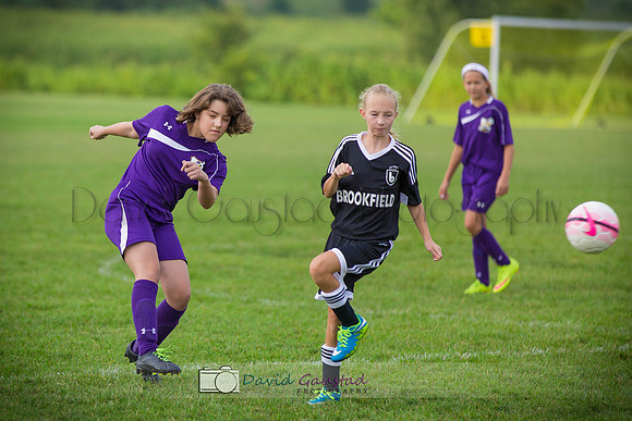 Picture from the DeForest and Windsor Norski youth soccer program