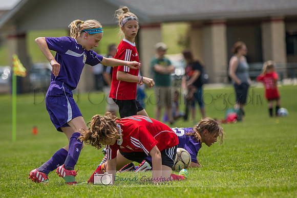Picture from the DeForest and Windsor Norski youth soccer program