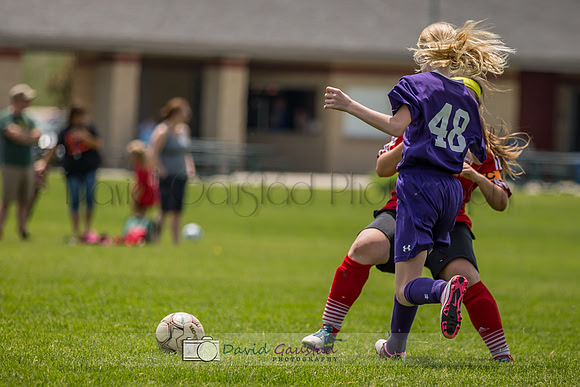 Picture from the DeForest and Windsor Norski youth soccer program