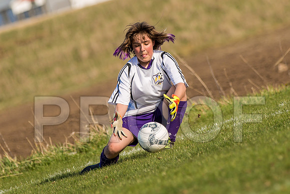 Picture from the DeForest and Windsor Norski youth soccer program