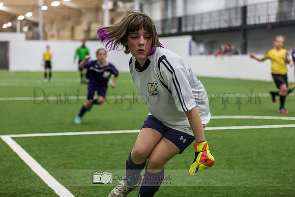 DeForest and Windsor Norski Soccer Club program