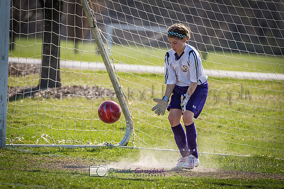 Picture from the DeForest and Windsor Norski youth soccer program