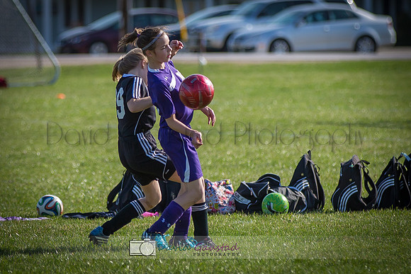 Picture from the DeForest and Windsor Norski youth soccer program
